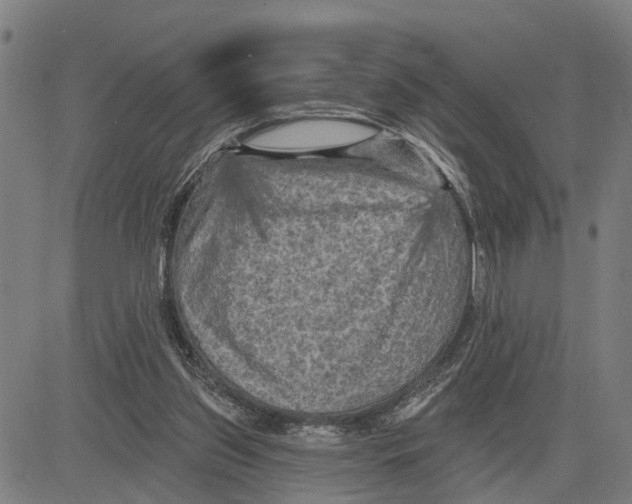 X0000083650157200703121754