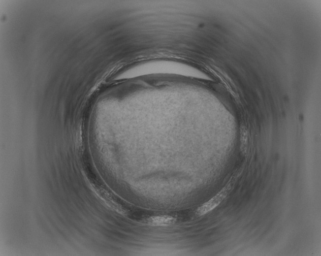 X0000083650158200703121754