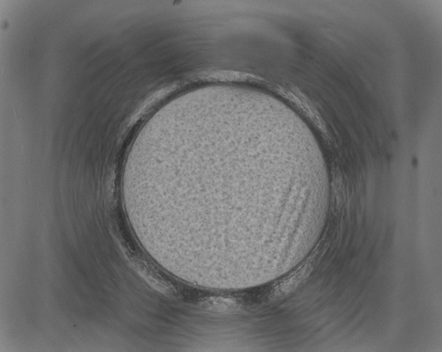 X0000083650159200703121754