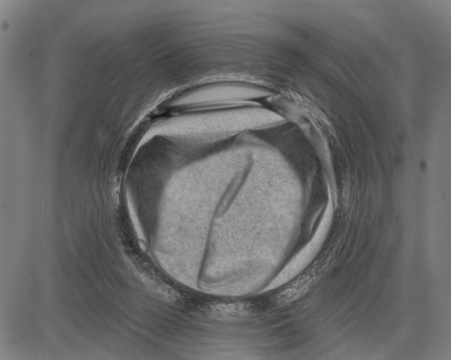 X0000083650160200703121754