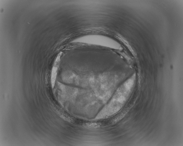 X0000083650161200703121754