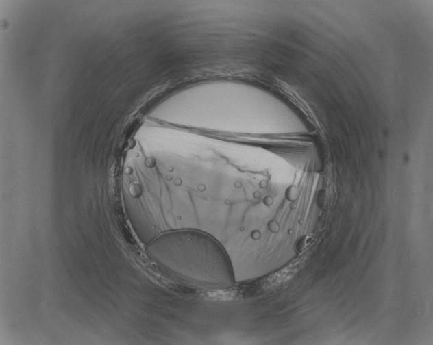 X0000083650163200703121754