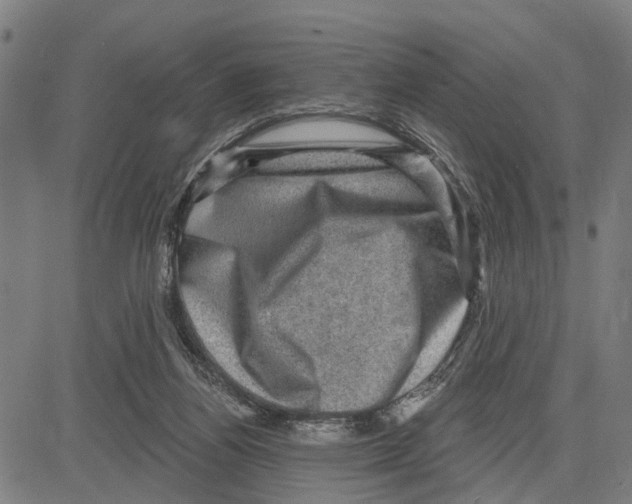 X0000083650164200703121754