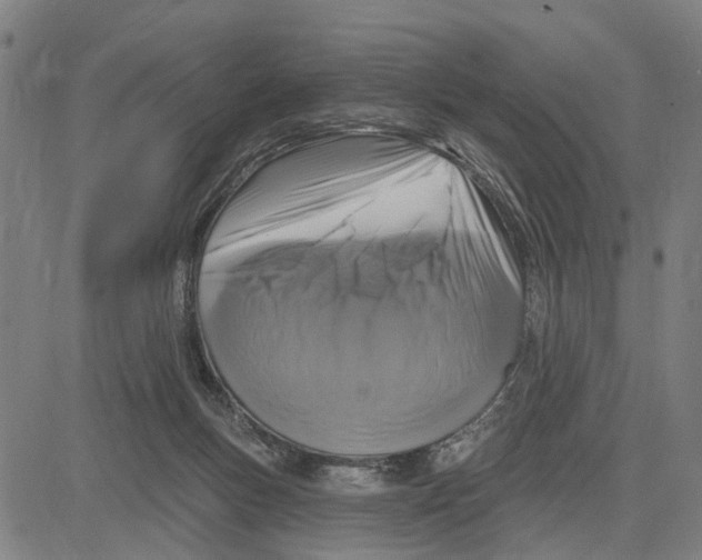 X0000083650167200703121754