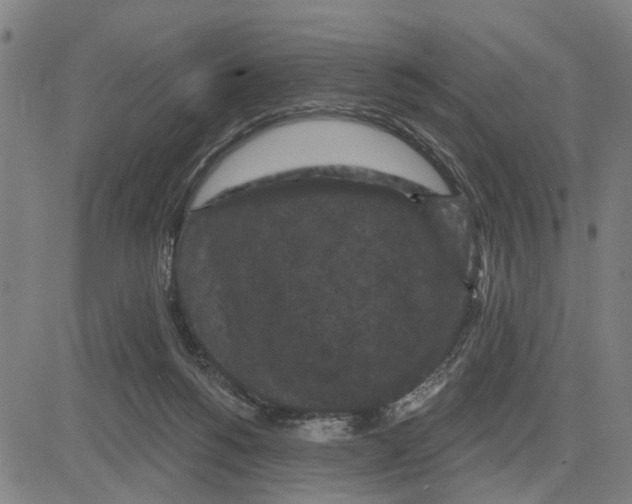 X0000083650168200703121754