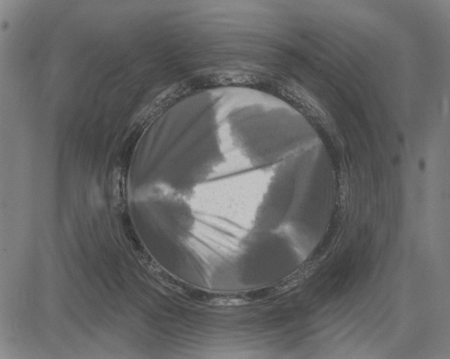 X0000083650169200703121754