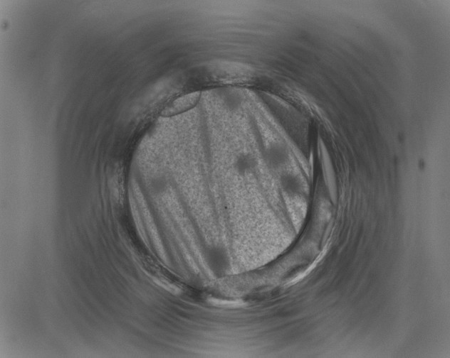 X0000083650170200703121754