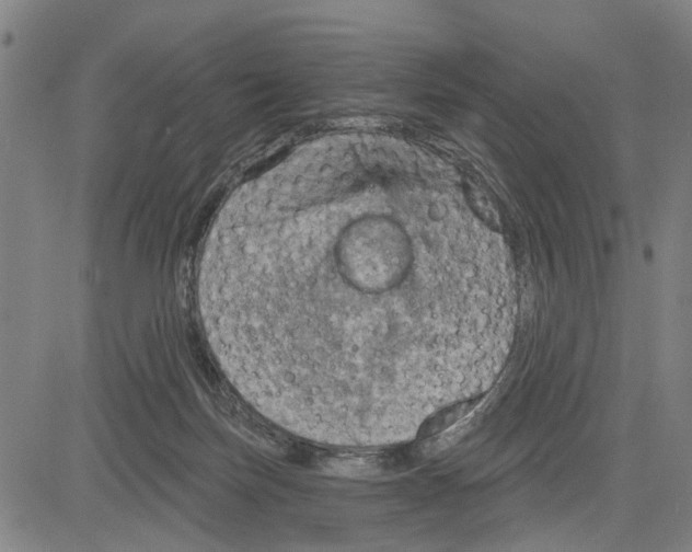 X0000083650171200703121754