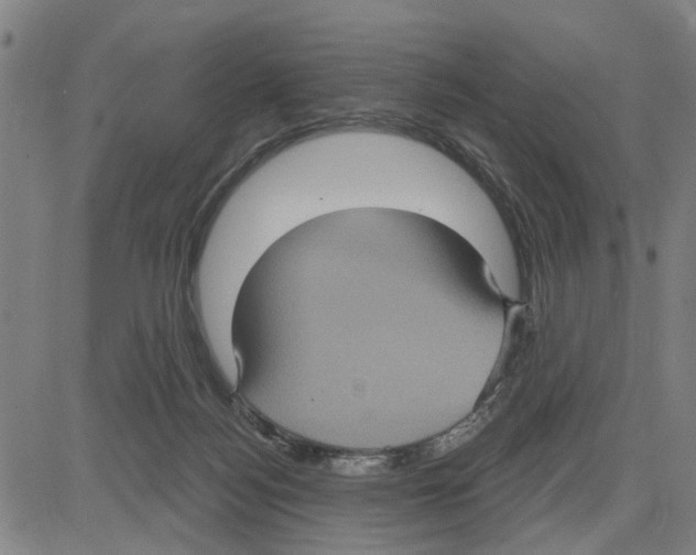 X0000083650172200703121755