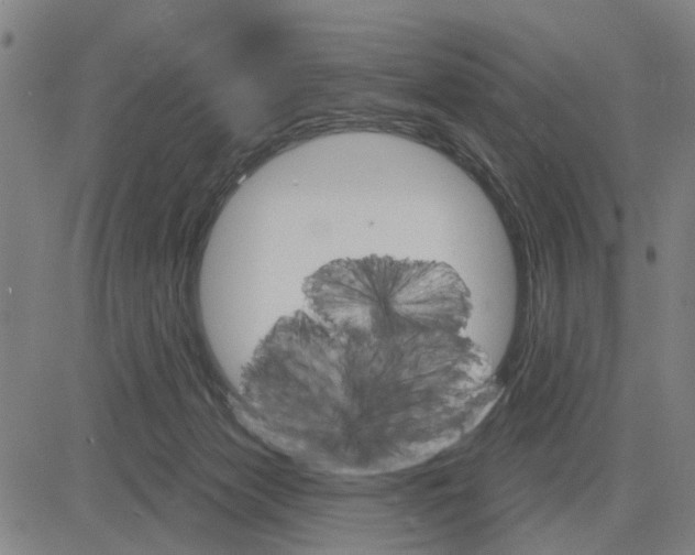 X0000083650173200703121755