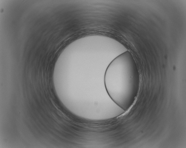 X0000083650174200703121755