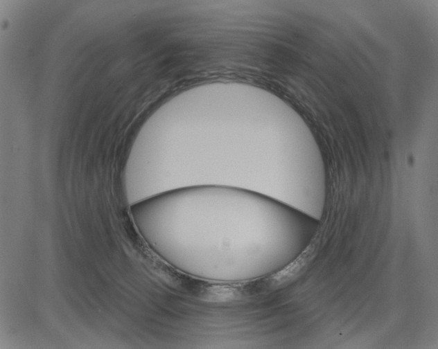 X0000083650176200703121755