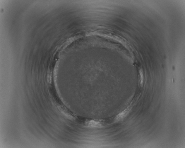 X0000083650180200703121755