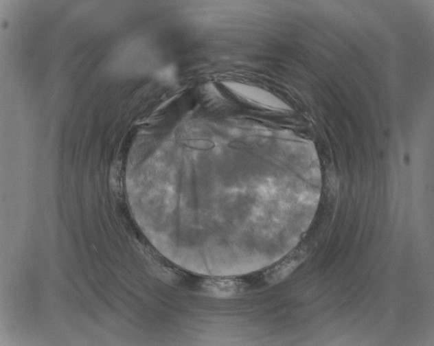 X0000083650181200703121755