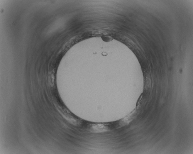 X0000083650183200703121755