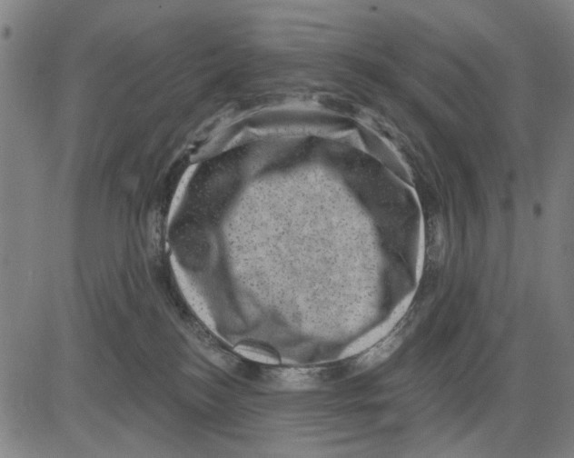 X0000083650184200703121755