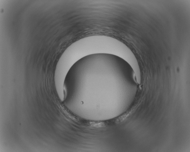 X0000083650185200703121755