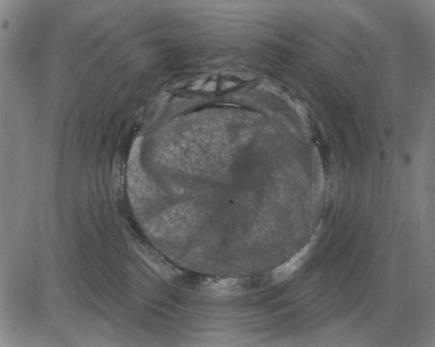 X0000083650186200703121755