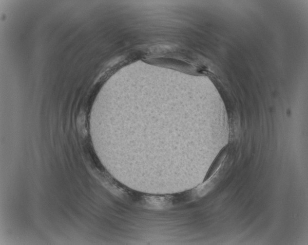 X0000083650187200703121755