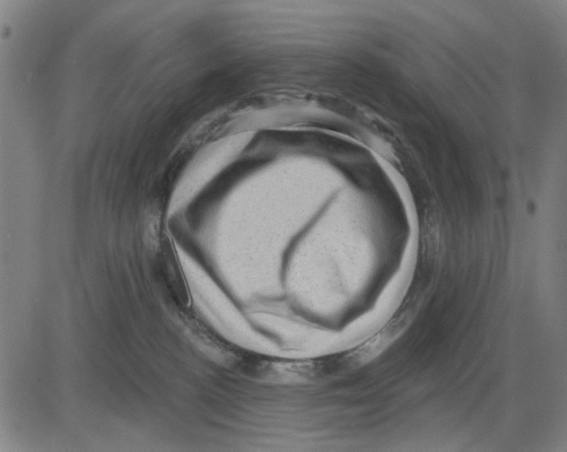 X0000083650188200703121755