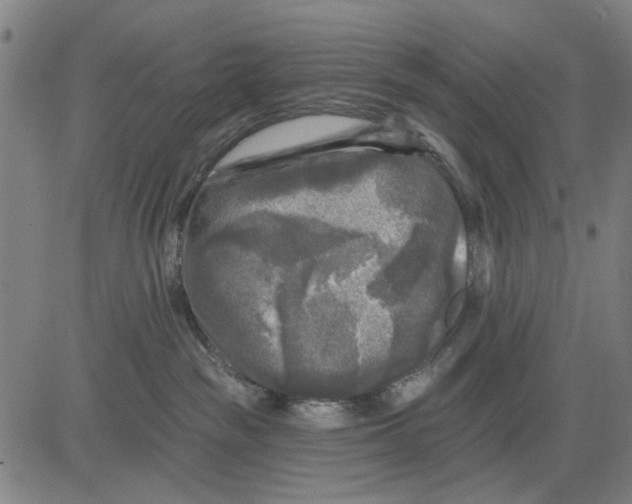 X0000083650189200703121755