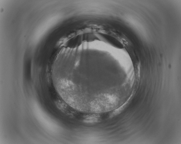 X0000083650191200703121755