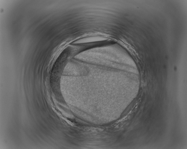 X0000083650193200703121754