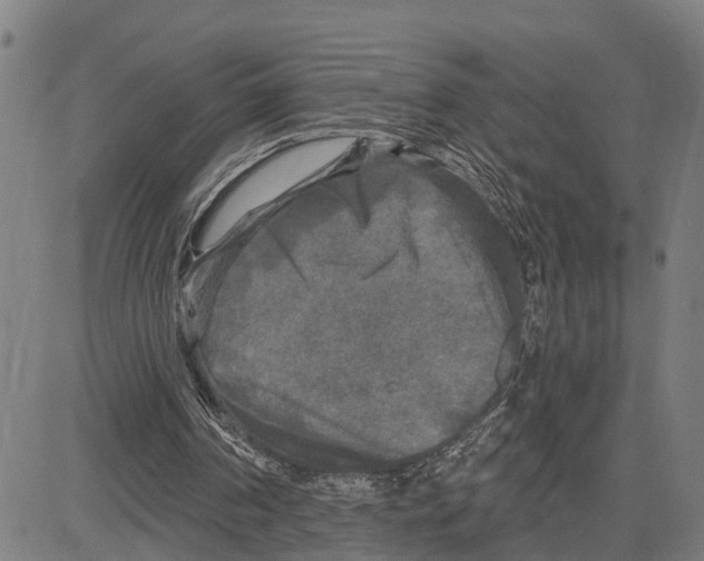 X0000083650194200703121754