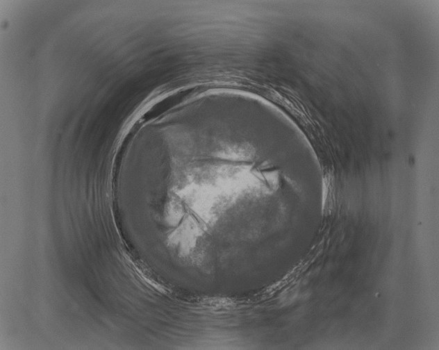 X0000083650195200703121754