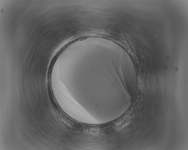 X0000083650196200703121754