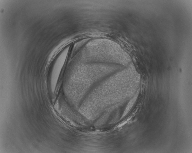 X0000083650197200703121754