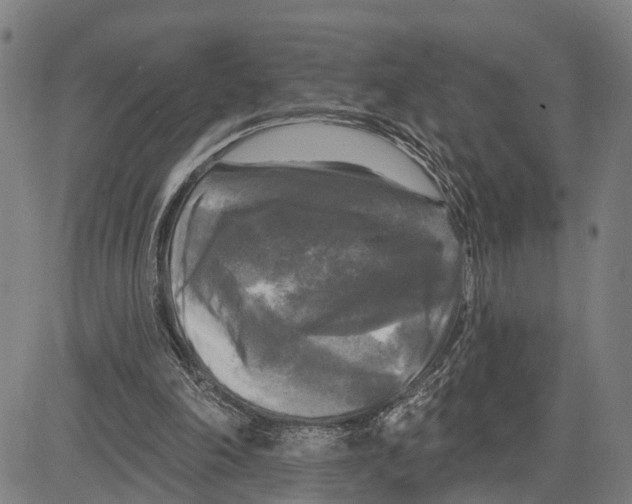 X0000083650198200703121754