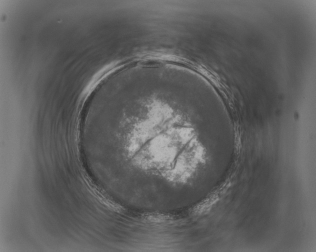 X0000083650199200703121754