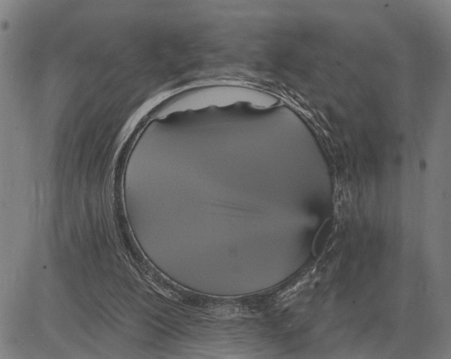 X0000083650200200703121754