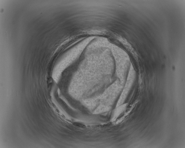 X0000083650201200703121754