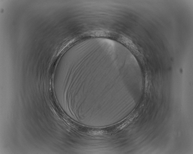 X0000083650202200703121754