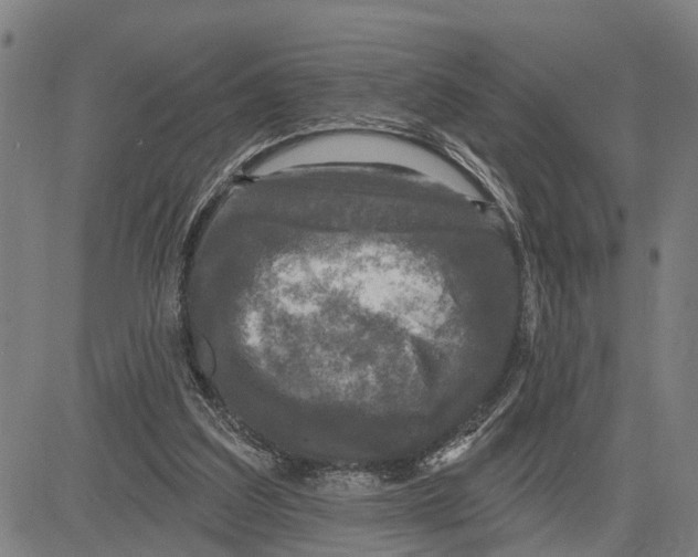 X0000083650203200703121754