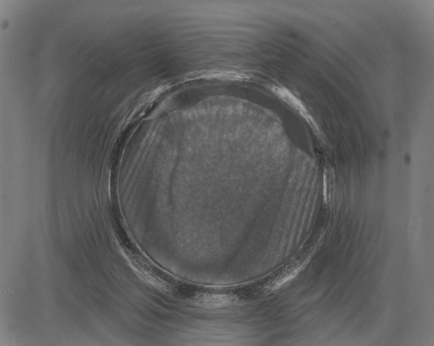 X0000083650205200703121754