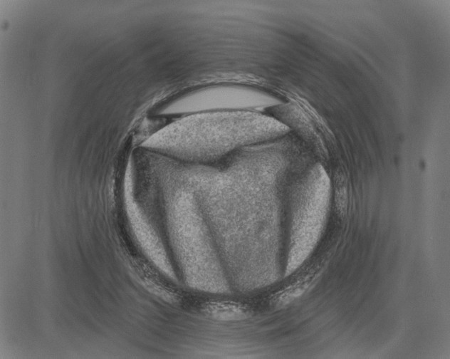 X0000083650207200703121754