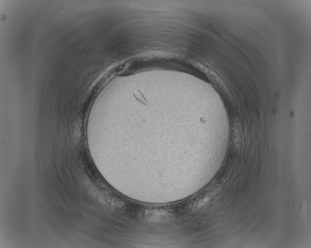 X0000083650208200703121754