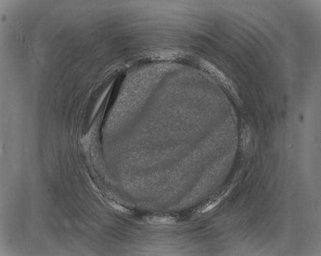 X0000083650209200703121754