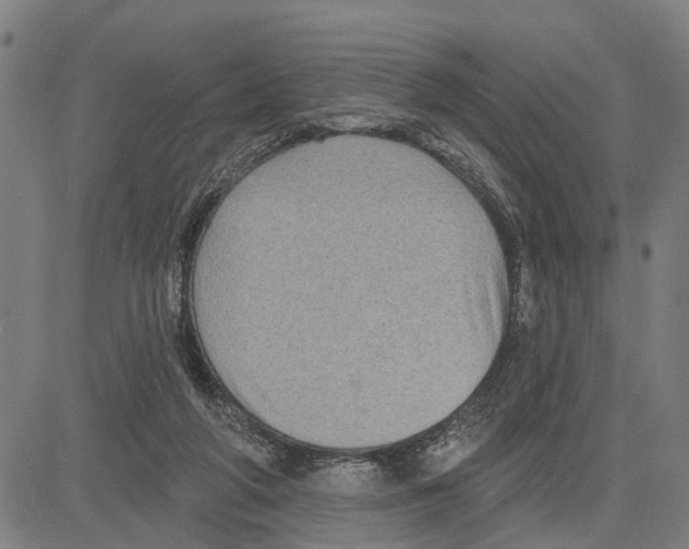 X0000083650210200703121754