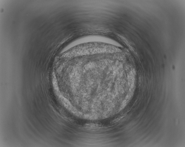 X0000083650211200703121754