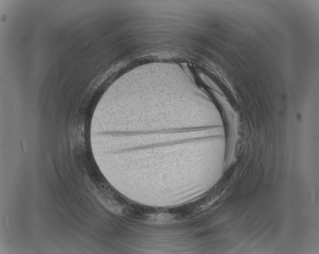 X0000083650212200703121754