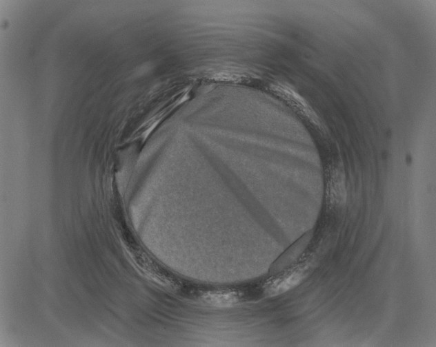 X0000083650213200703121754