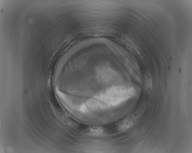 X0000083650214200703121754