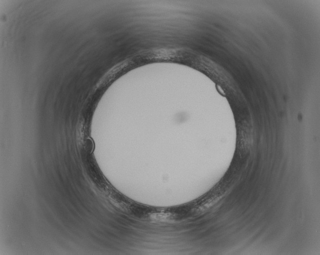 X0000083650216200703121754