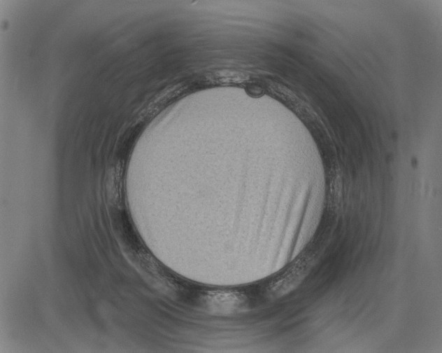 X0000083650218200703121754