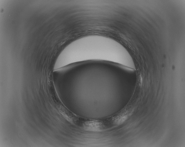 X0000083650219200703121754