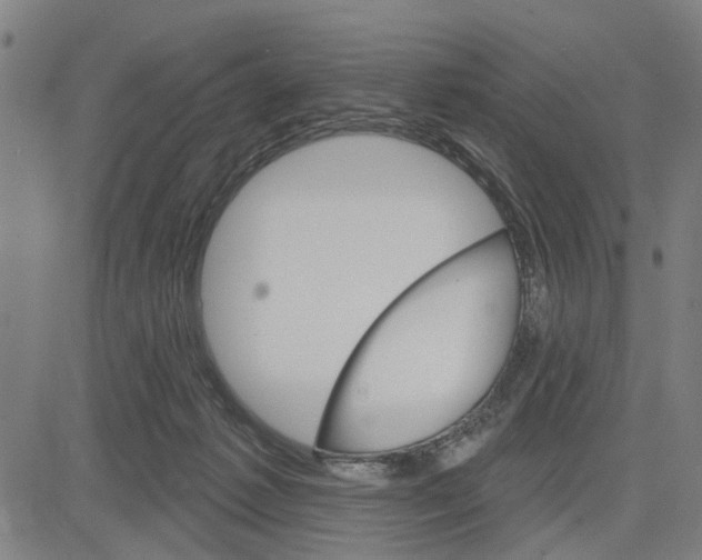 X0000083650221200703121754